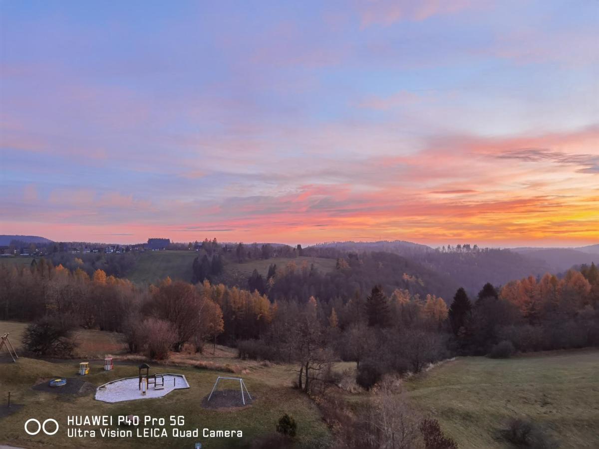 Penthouse Harz-Traum 372 Daire Hohegeiß Dış mekan fotoğraf