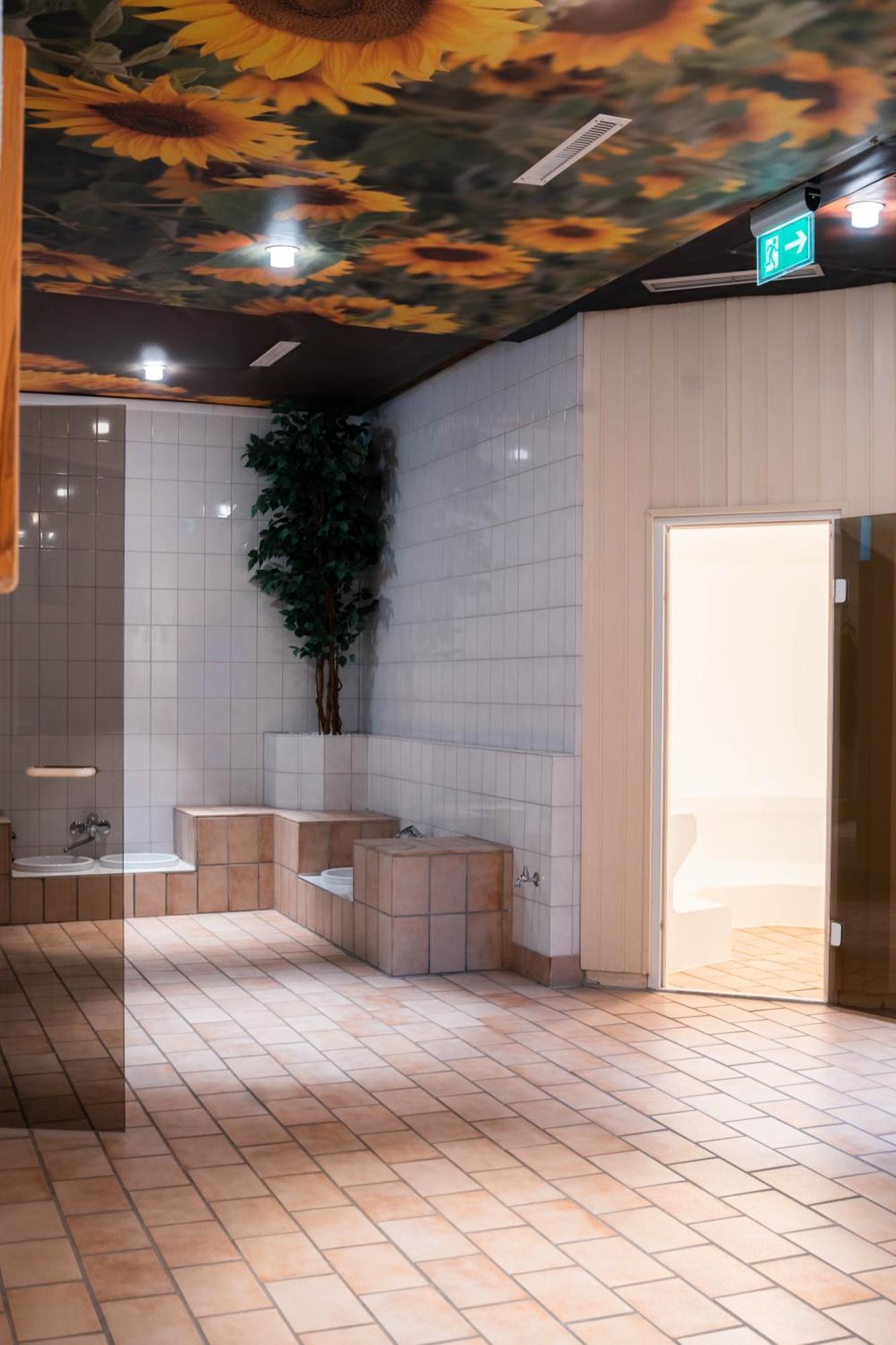 Penthouse Harz-Traum 372 Daire Hohegeiß Dış mekan fotoğraf